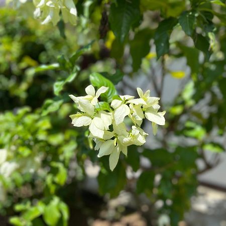 Garden Haven Hikkaduwa Villa Bagian luar foto